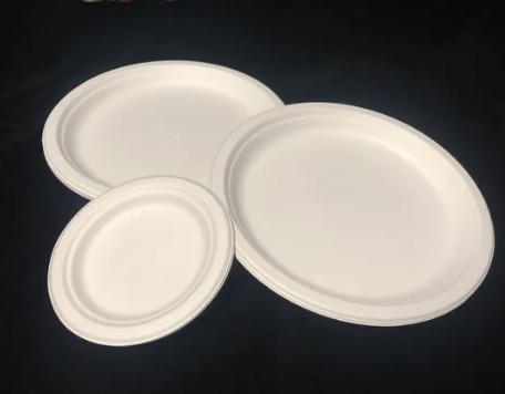 Medium White Paper Plate