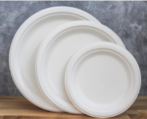 Large White Paper Plate