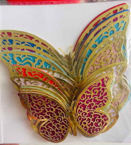 Butterfly colourful