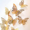 Butterfly 3D