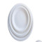 Small White Paper Plate